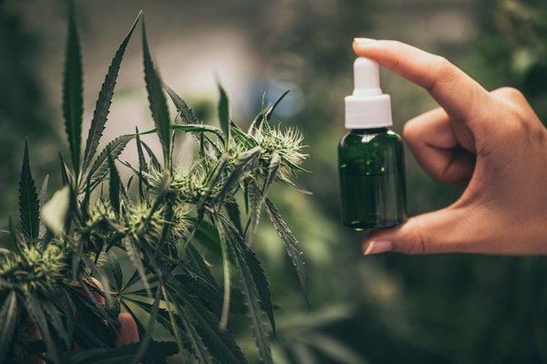 Les bienfaits du chanvre pour une pratique de yoga apaisée